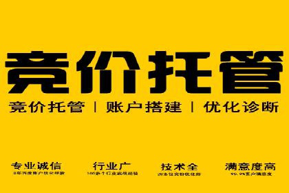 案例揭秘：专业SEM托管下的转化率提升策略